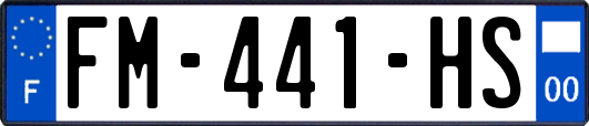 FM-441-HS