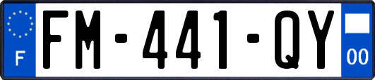 FM-441-QY