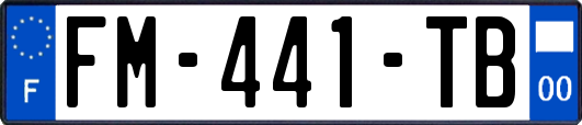 FM-441-TB