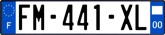 FM-441-XL