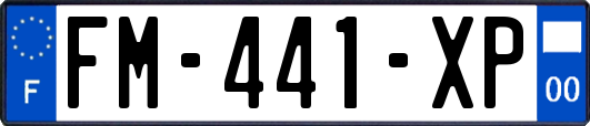 FM-441-XP