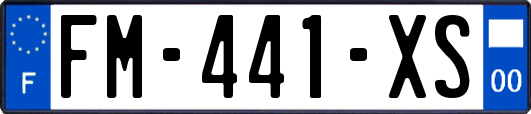 FM-441-XS