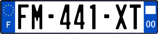 FM-441-XT