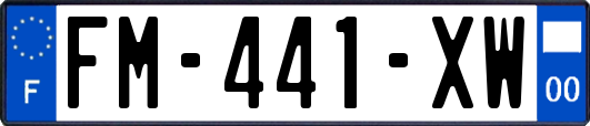 FM-441-XW