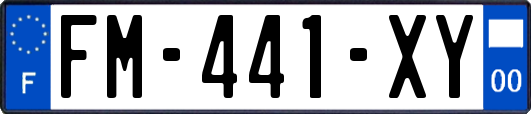 FM-441-XY