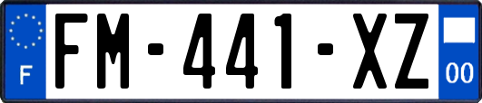 FM-441-XZ