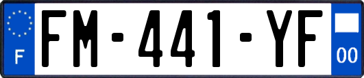 FM-441-YF