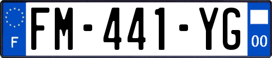 FM-441-YG