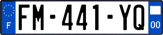 FM-441-YQ