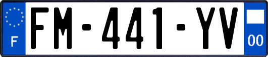 FM-441-YV