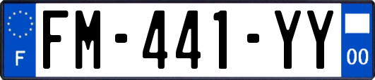 FM-441-YY