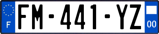 FM-441-YZ