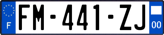 FM-441-ZJ