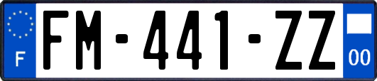 FM-441-ZZ