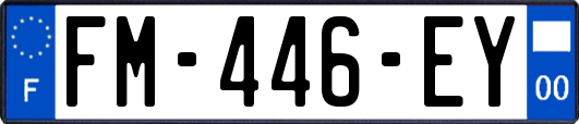FM-446-EY