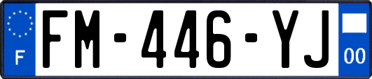 FM-446-YJ