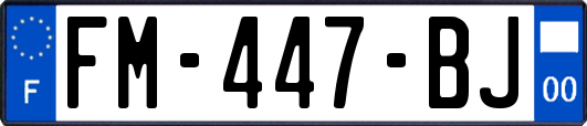 FM-447-BJ