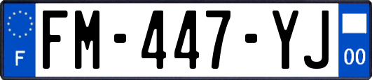 FM-447-YJ