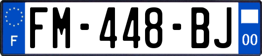 FM-448-BJ