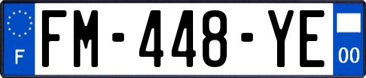 FM-448-YE