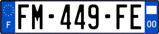 FM-449-FE