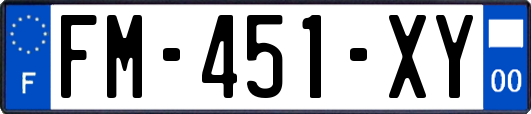 FM-451-XY
