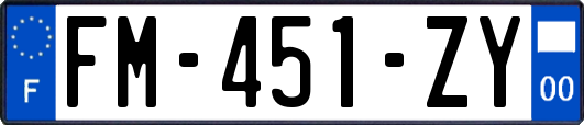 FM-451-ZY
