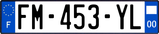 FM-453-YL