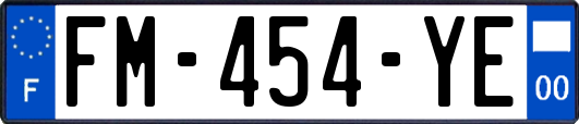 FM-454-YE