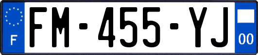 FM-455-YJ