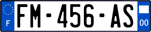 FM-456-AS