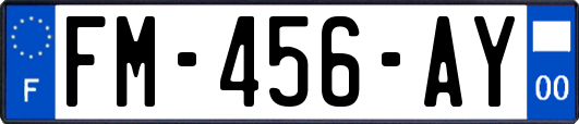 FM-456-AY