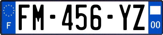 FM-456-YZ