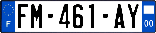 FM-461-AY