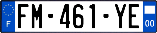 FM-461-YE
