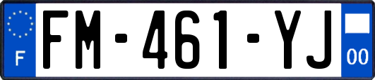 FM-461-YJ