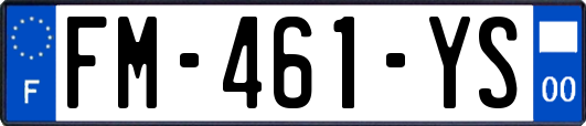 FM-461-YS