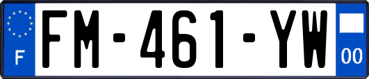 FM-461-YW
