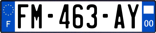 FM-463-AY