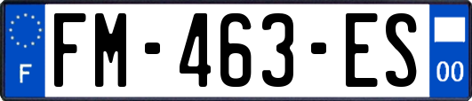 FM-463-ES