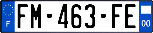 FM-463-FE