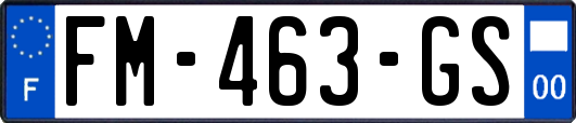 FM-463-GS