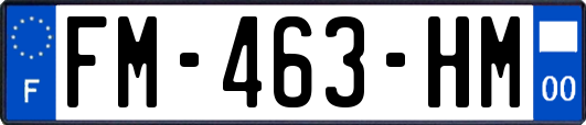 FM-463-HM