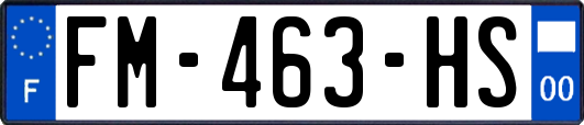 FM-463-HS