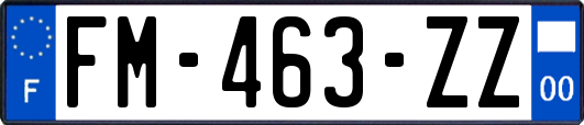 FM-463-ZZ