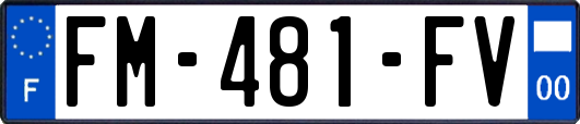 FM-481-FV