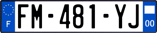 FM-481-YJ