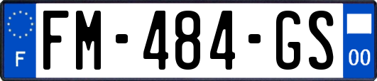 FM-484-GS