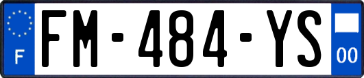 FM-484-YS