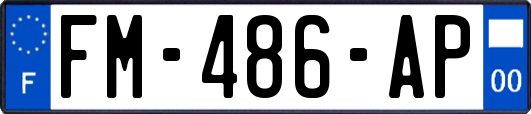 FM-486-AP